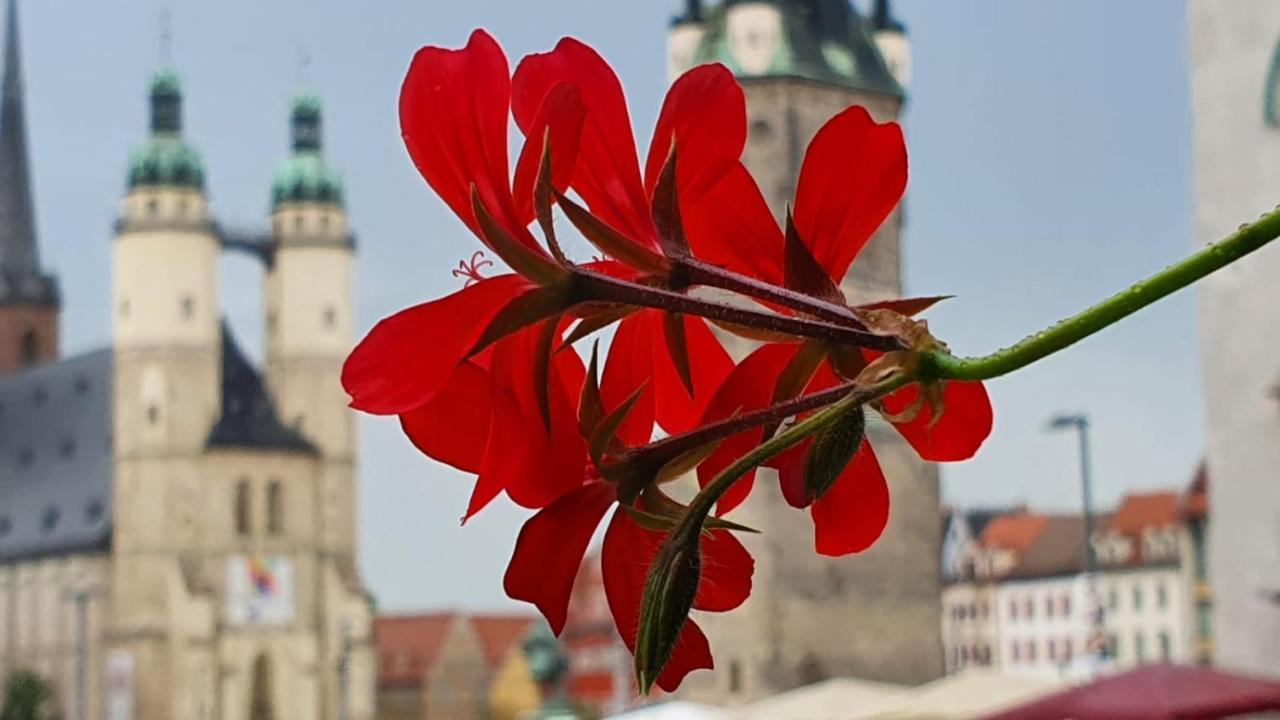 Budget Rooms In Halle With Shared Bathroom, Free Wifi, Netflix & Ipad Buitenkant foto